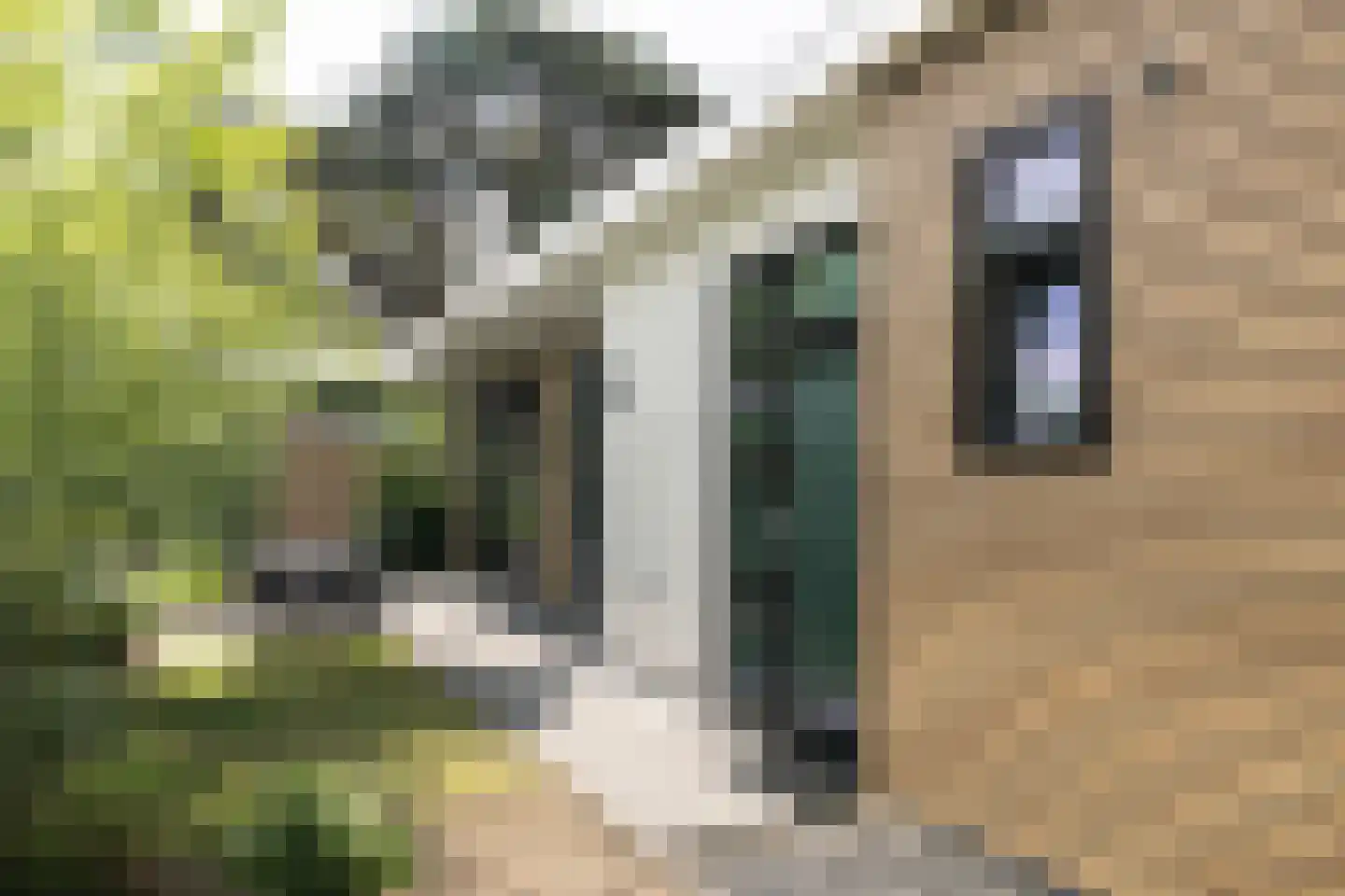 Immenweg 15 R 84 Lunteren thumbnail 21