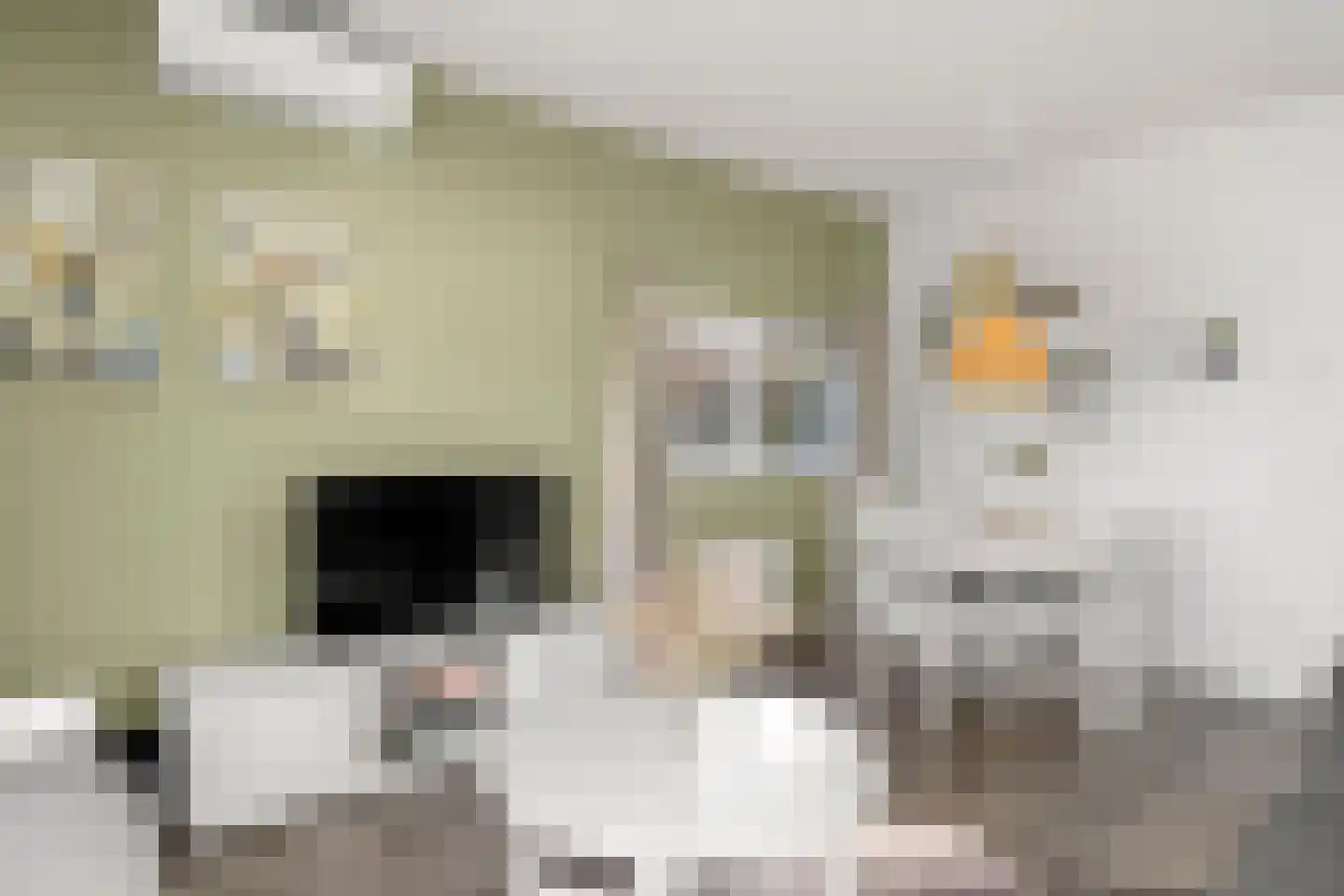 Immenweg 15 R 84 Lunteren thumbnail 22