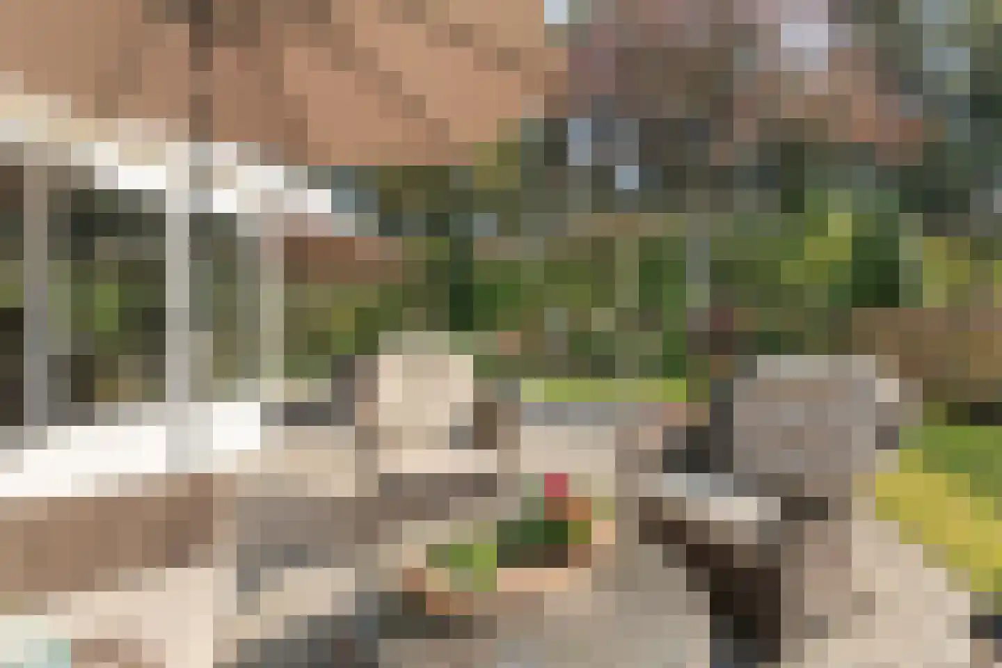 Immenweg 15 R 84 Lunteren thumbnail 22