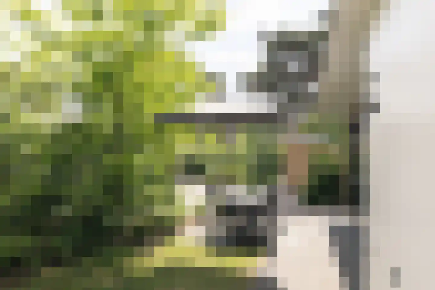 Immenweg 15 R 84 Lunteren thumbnail 23