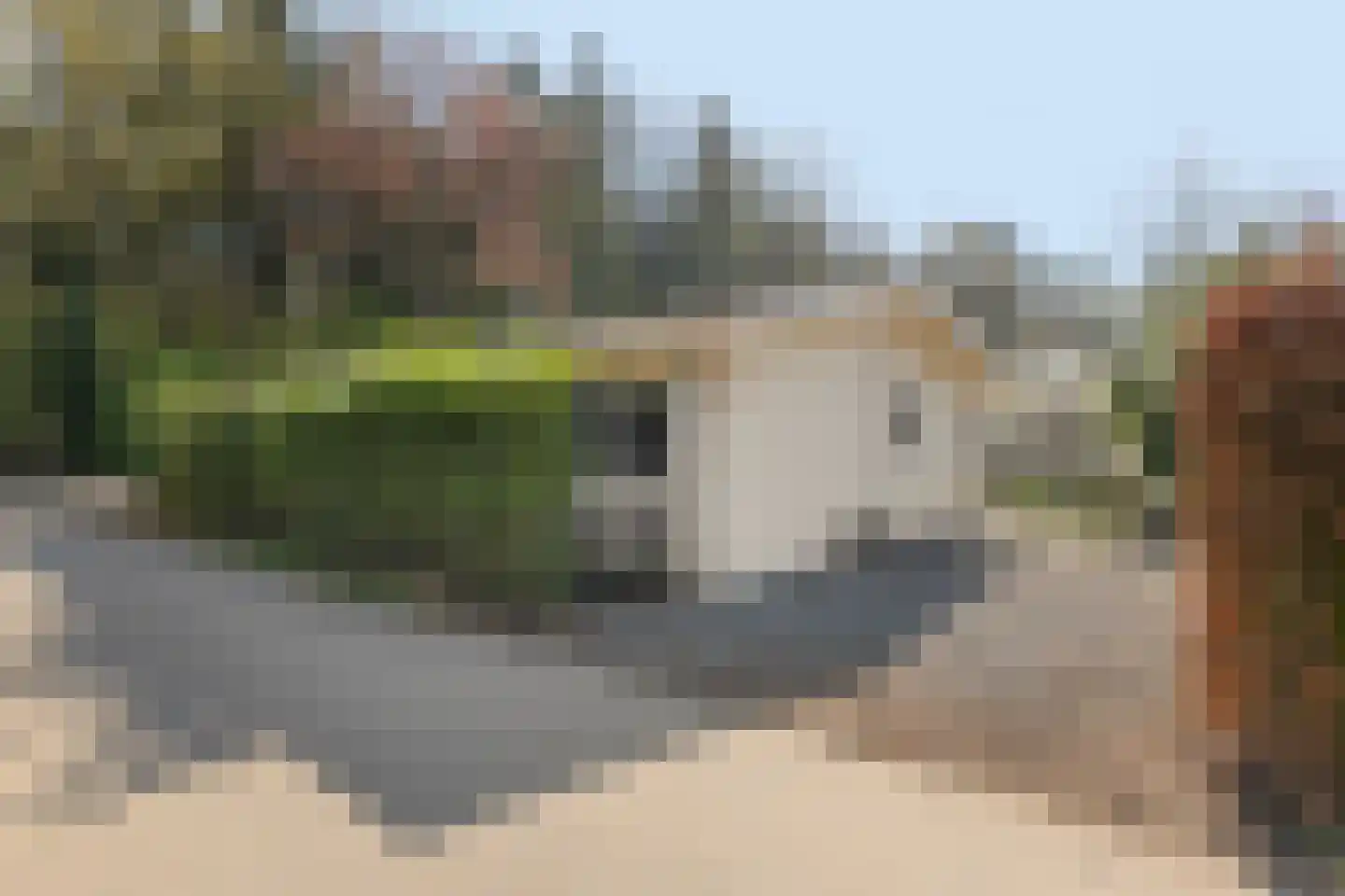 Immenweg 15 R 84 Lunteren thumbnail 28