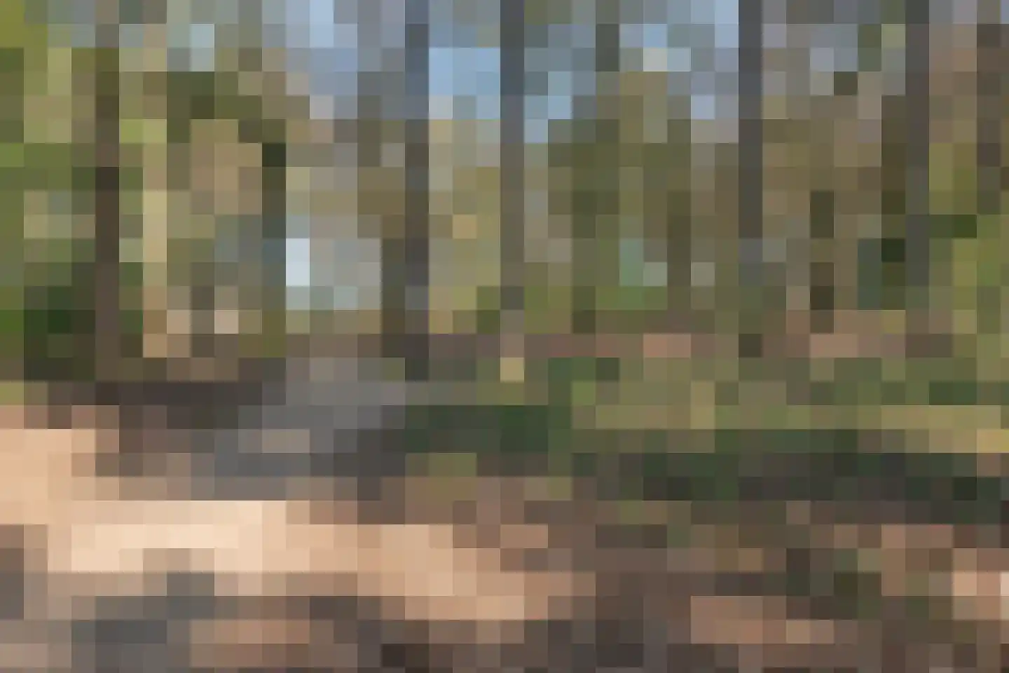 Immenweg 15 R 84 Lunteren thumbnail 29