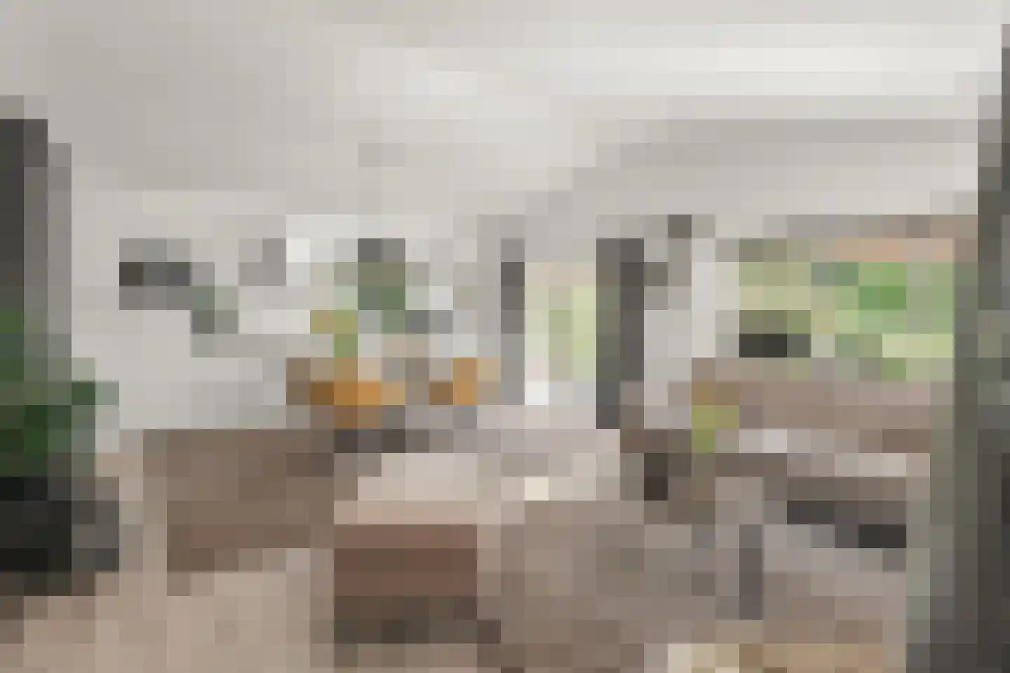 Immenweg 15 R 84 Lunteren thumbnail 7