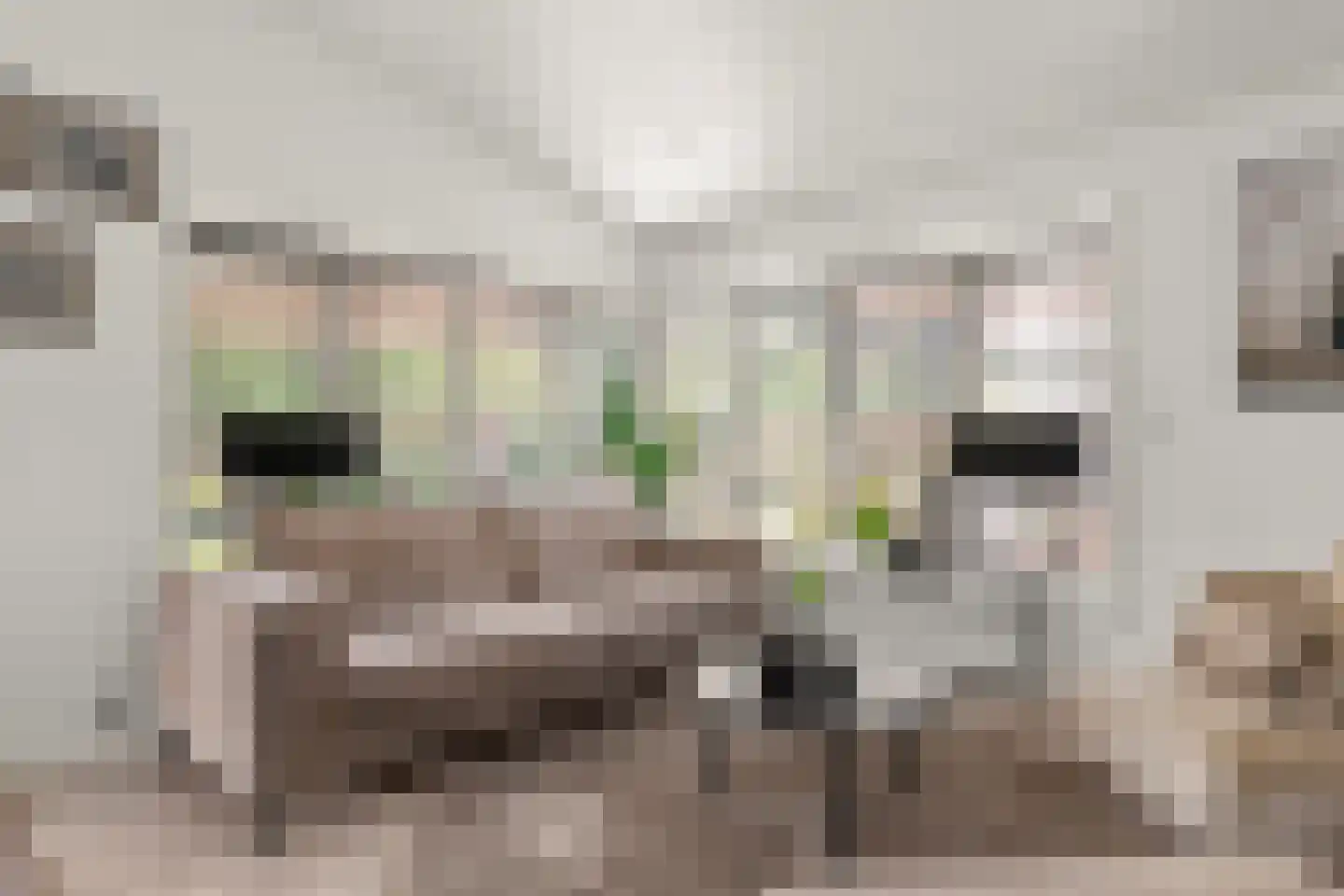 Immenweg 15 R 84 Lunteren thumbnail 8