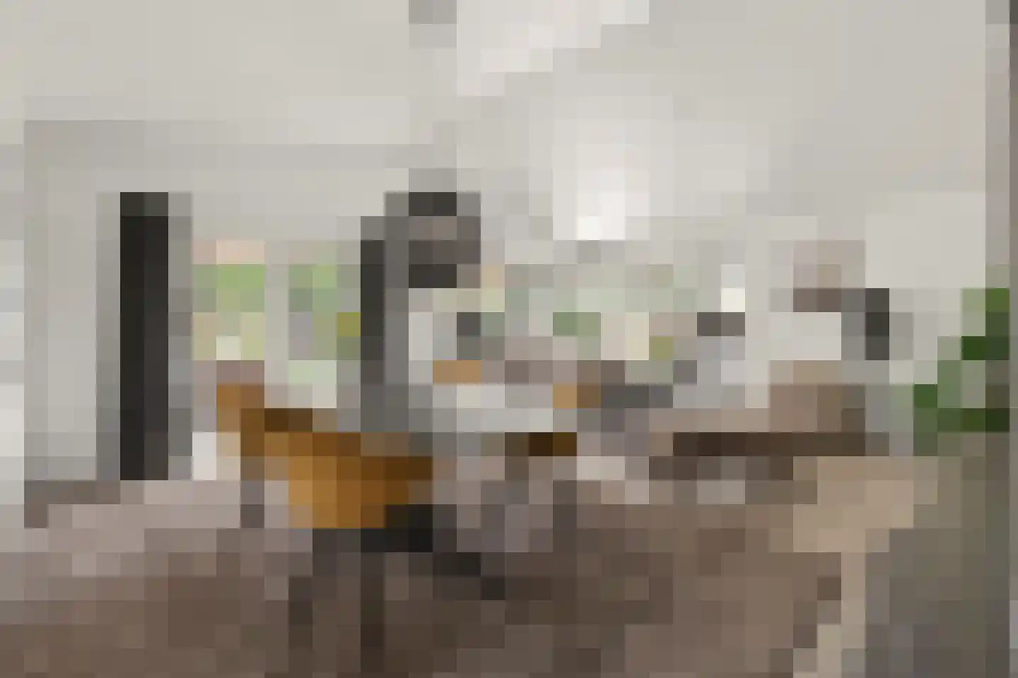 Immenweg 15 R 84 Lunteren thumbnail 9