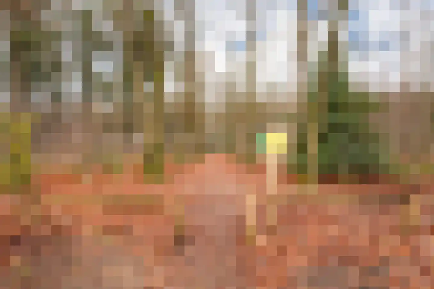 Immenweg 15 R 90 Lunteren thumbnail 21