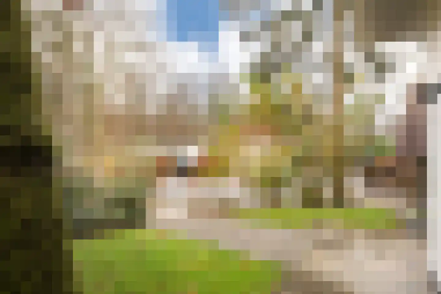 Immenweg 15 R 90 Lunteren thumbnail 4