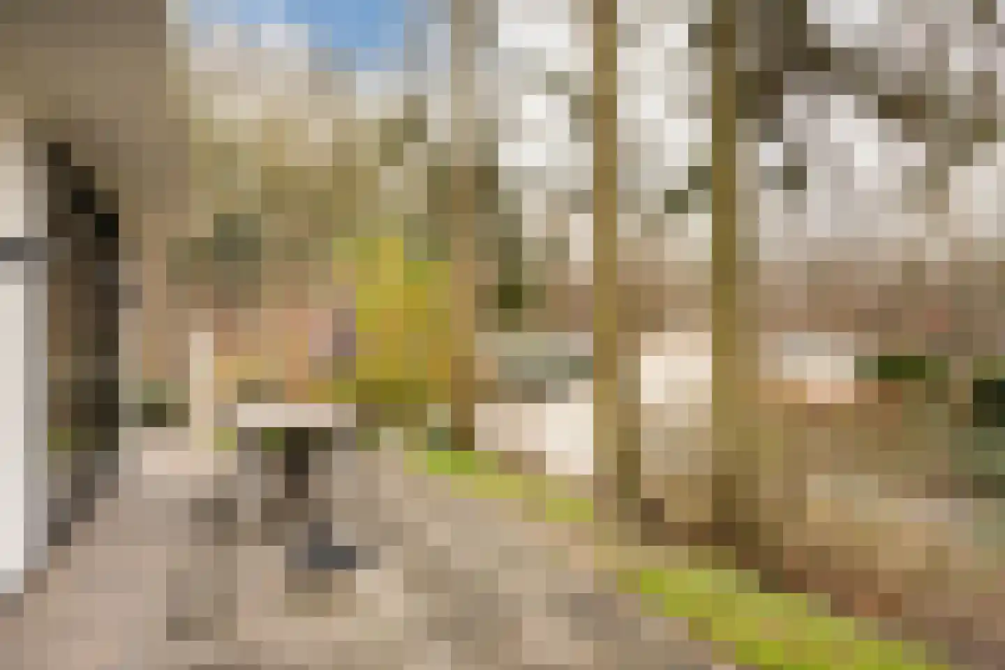 Immenweg 15 R 90 Lunteren thumbnail 5