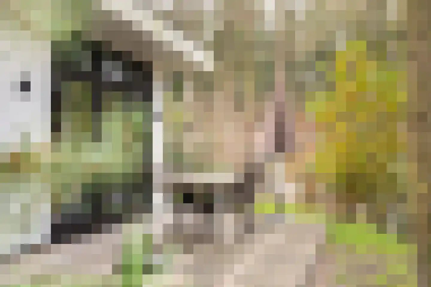 Immenweg 15 R 90 Lunteren thumbnail 6