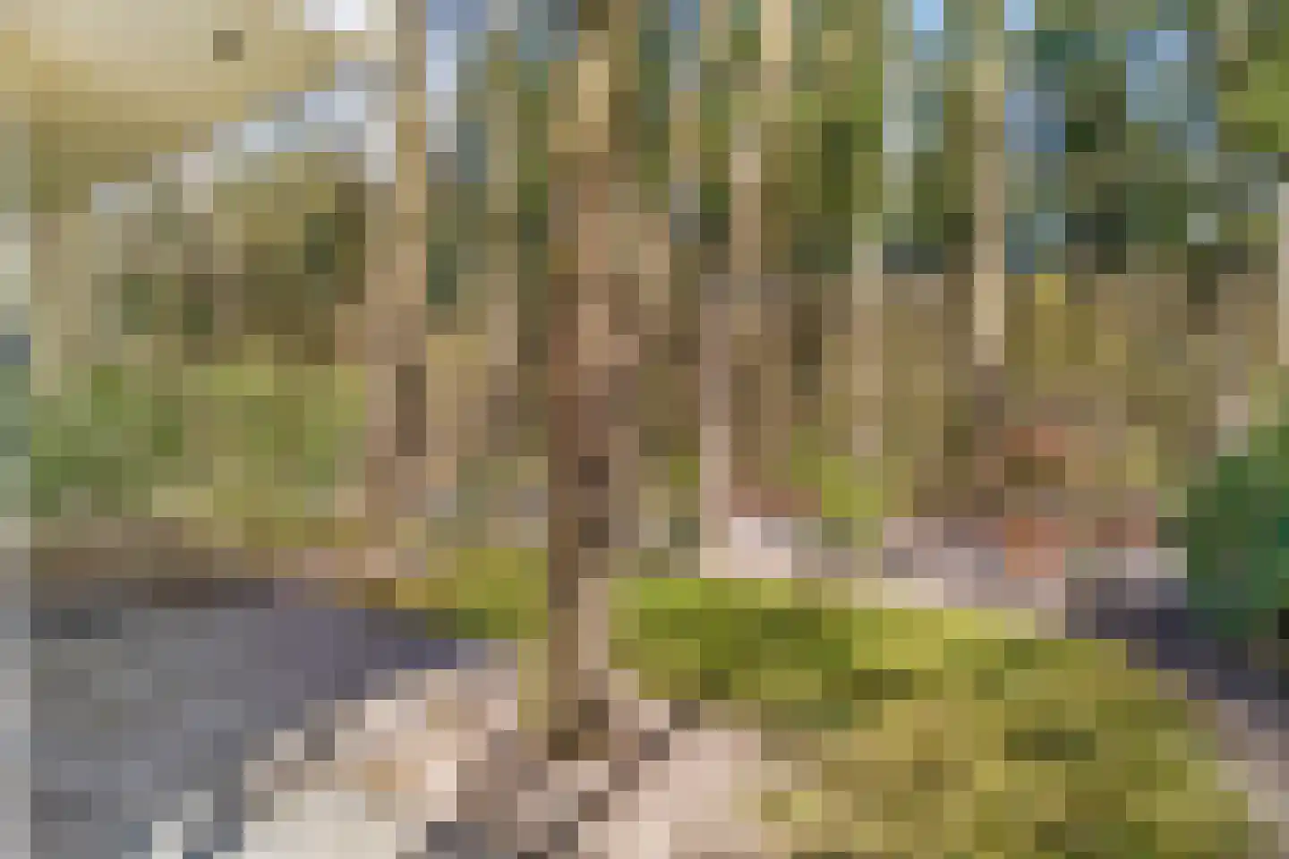 Immenweg 15 R 90A Lunteren thumbnail 19