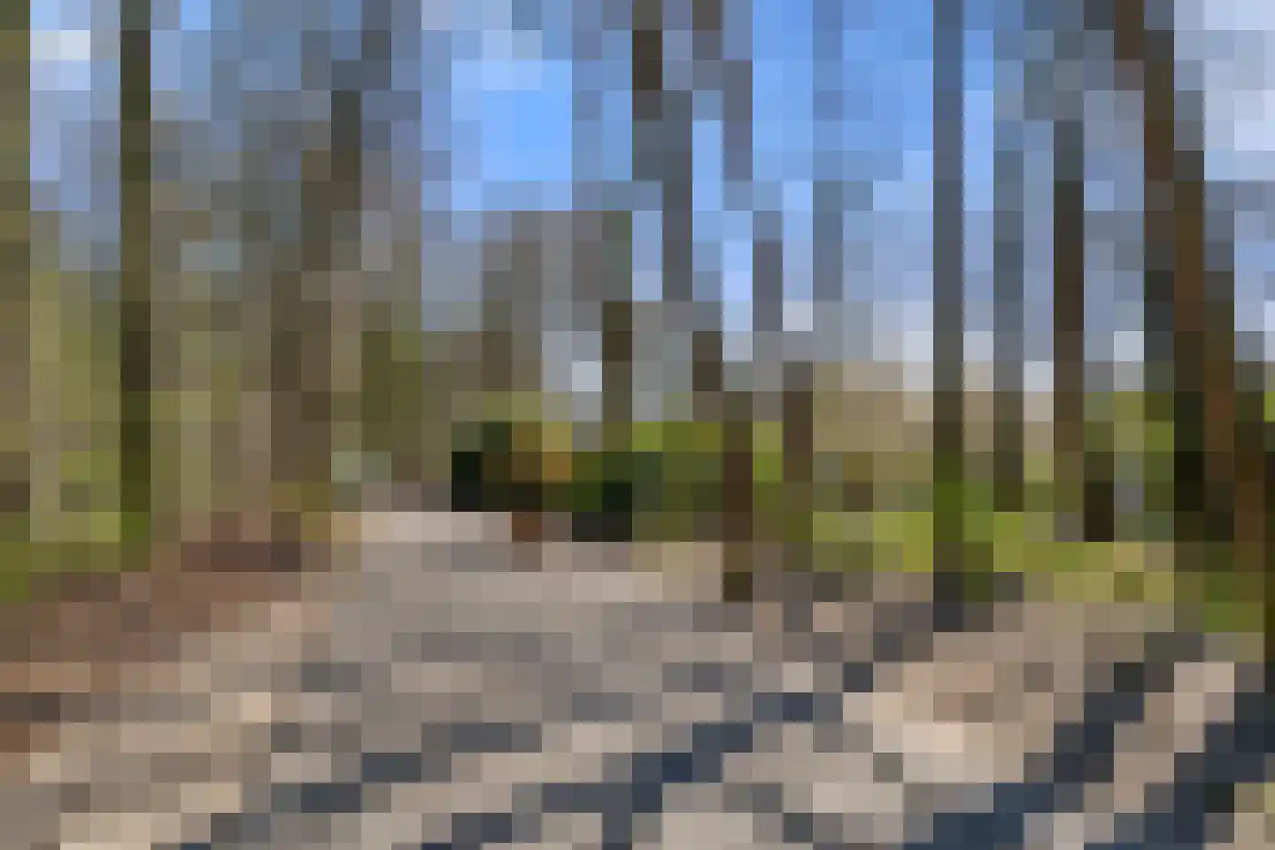 Immenweg 15 R 90A Lunteren thumbnail 25
