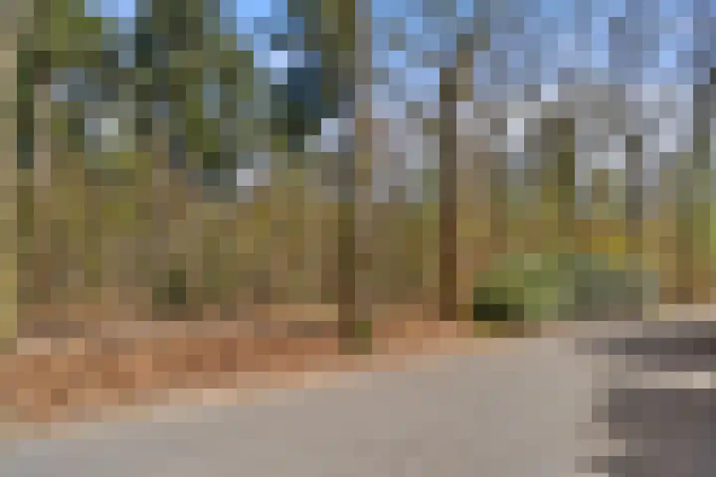 Immenweg 15 R 90A Lunteren thumbnail 26