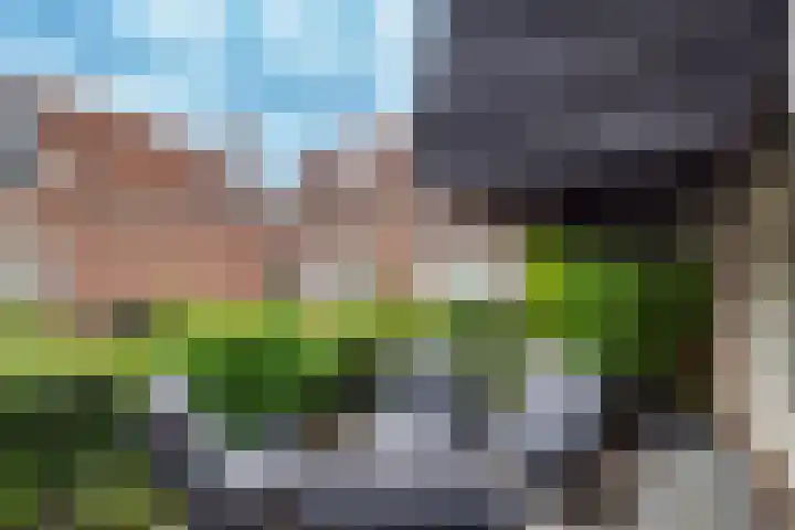 Imminkplein 12 IJsselstein thumbnail 30