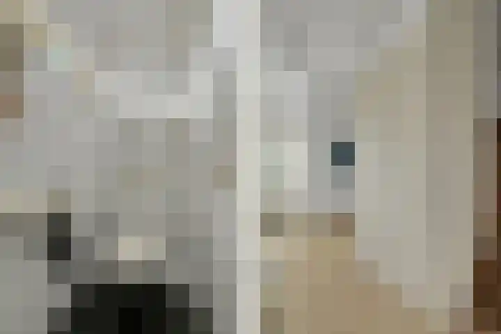 Imminkservestraat 11 Hellendoorn thumbnail 15
