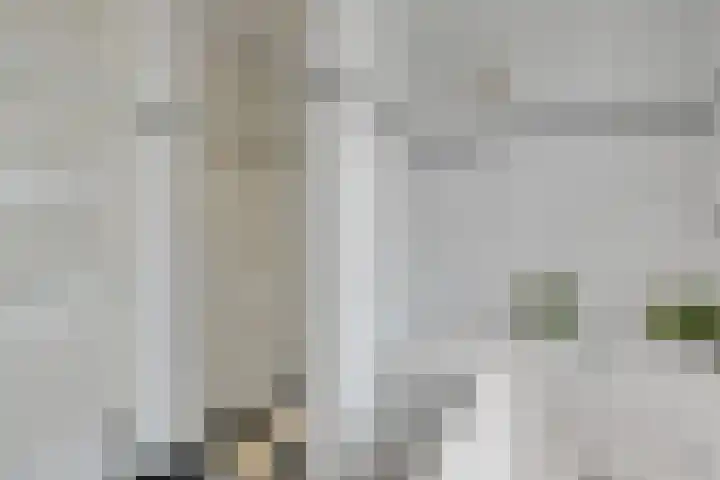 Imminkservestraat 11 Hellendoorn thumbnail 19