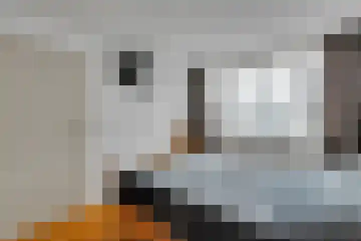 Imminkservestraat 11 Hellendoorn thumbnail 21