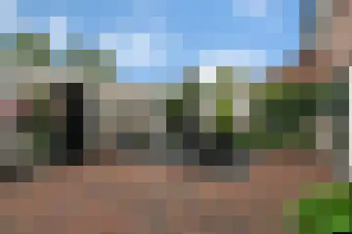 Imminkservestraat 11 Hellendoorn thumbnail 30