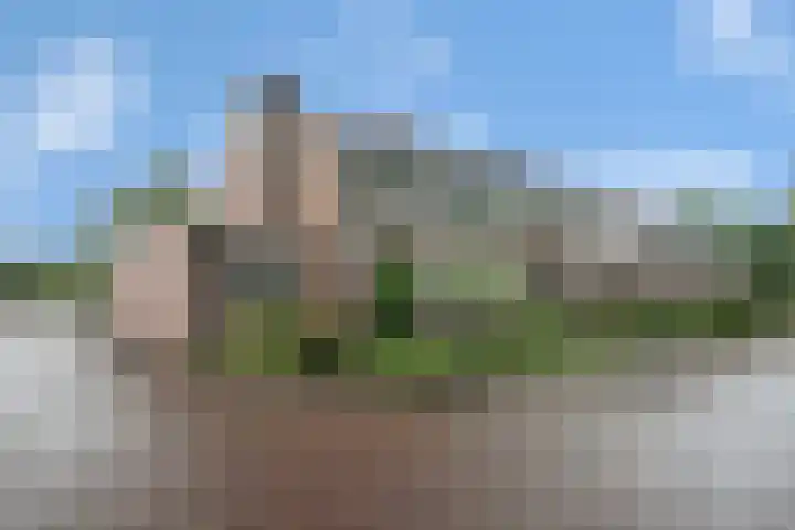 Imminkservestraat 11 Hellendoorn thumbnail 34
