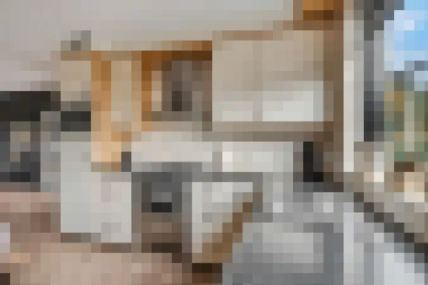 Imminkstraat 3 Amerongen thumbnail 10