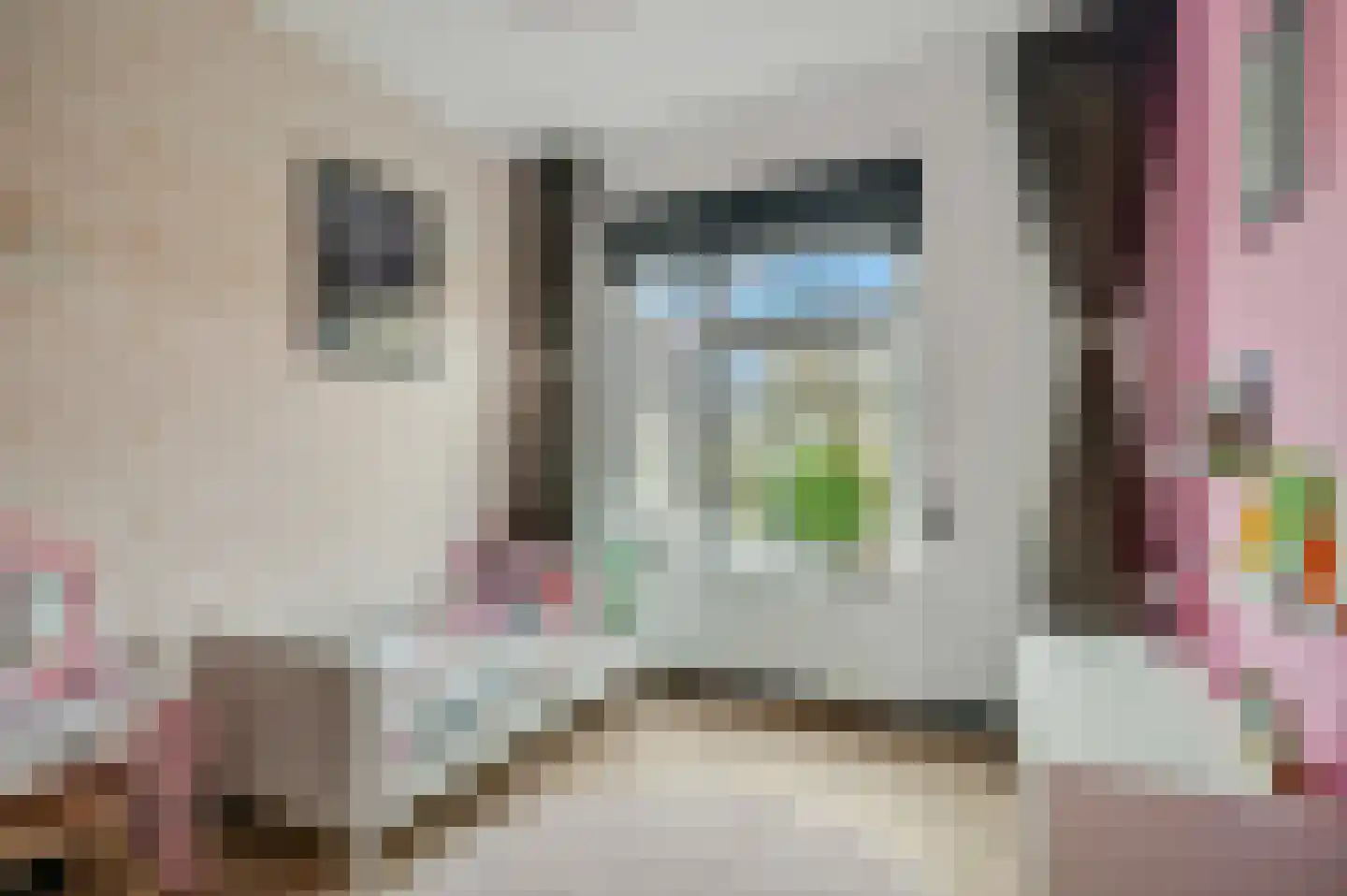Imminkstraat 3 Amerongen thumbnail 17