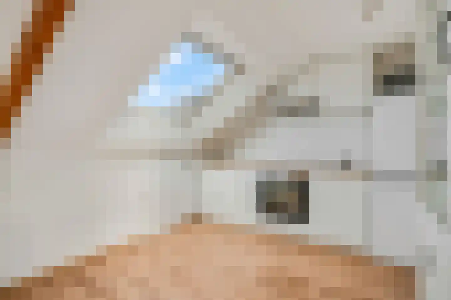 Imminkstraat 3 Amerongen thumbnail 22