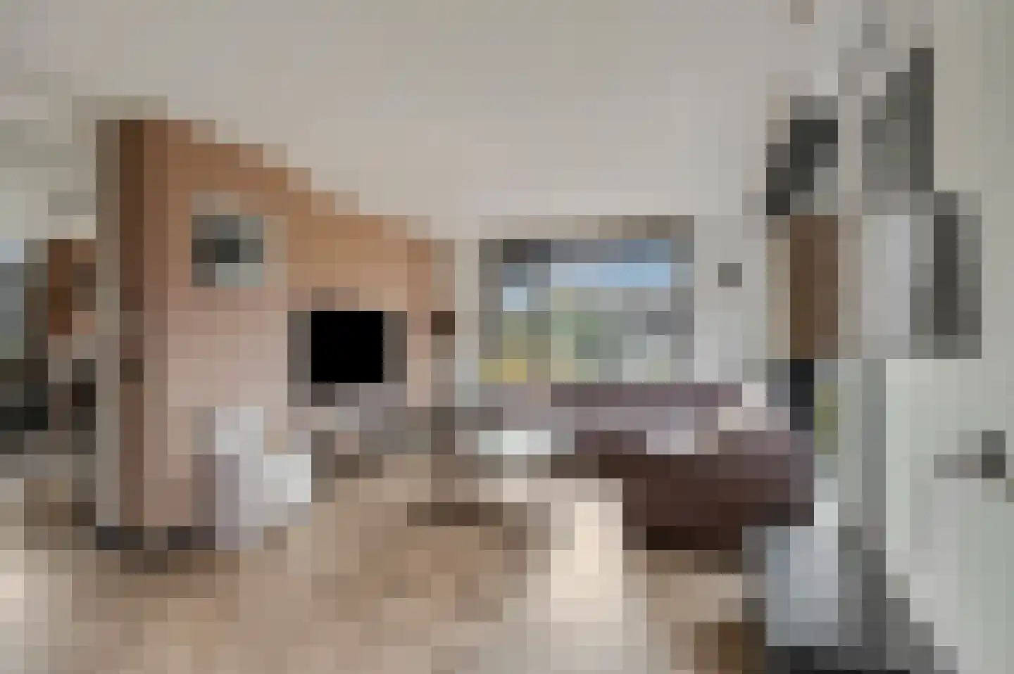 Imminkstraat 3 Amerongen thumbnail 8