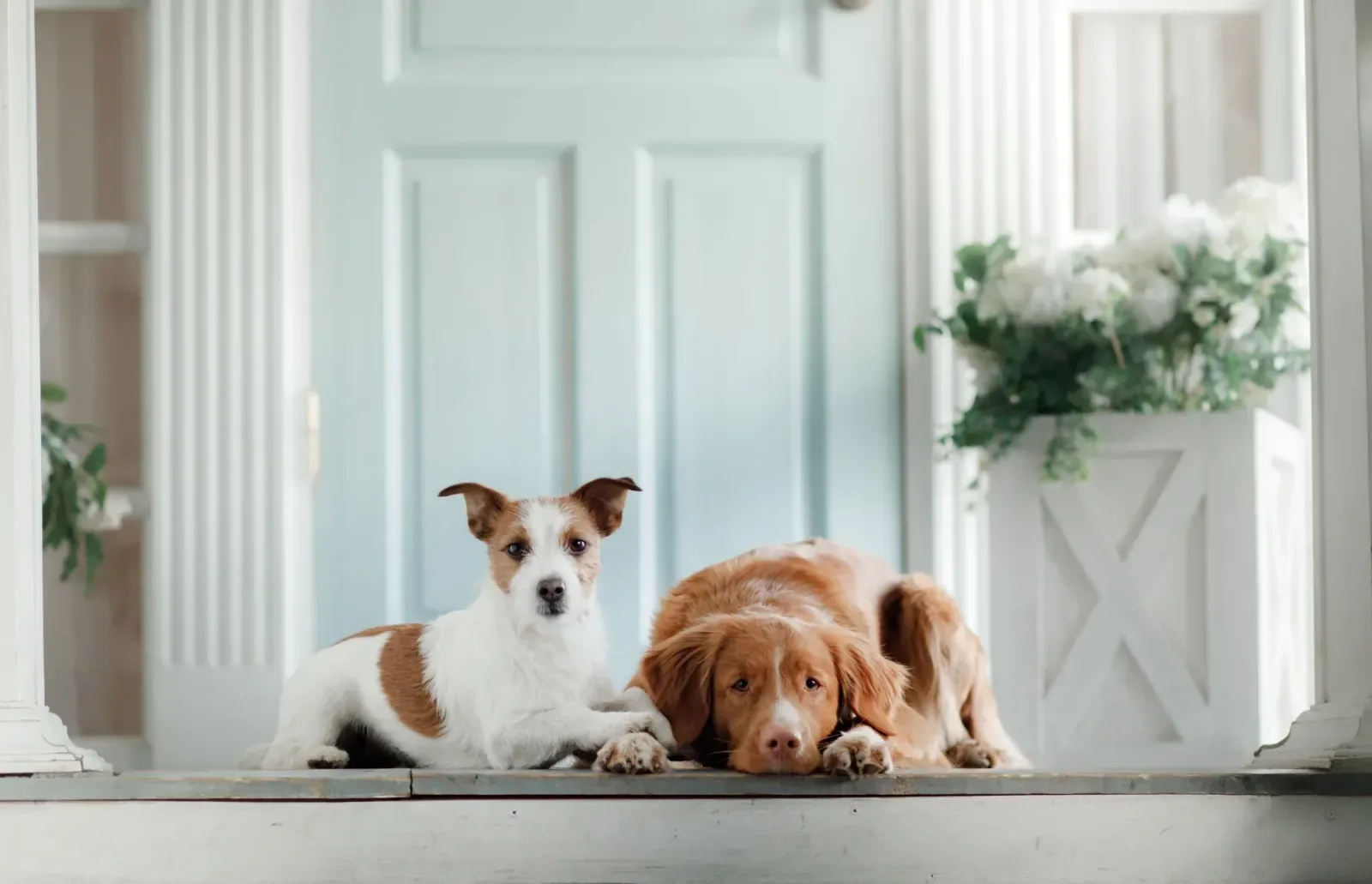 Mannschaftsfoto von IMMOG Makelaars