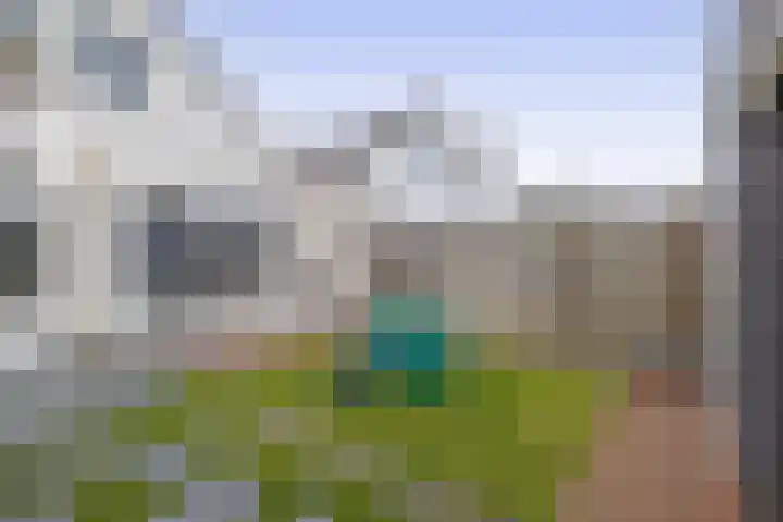 Mannschaftsfoto von Immomatch