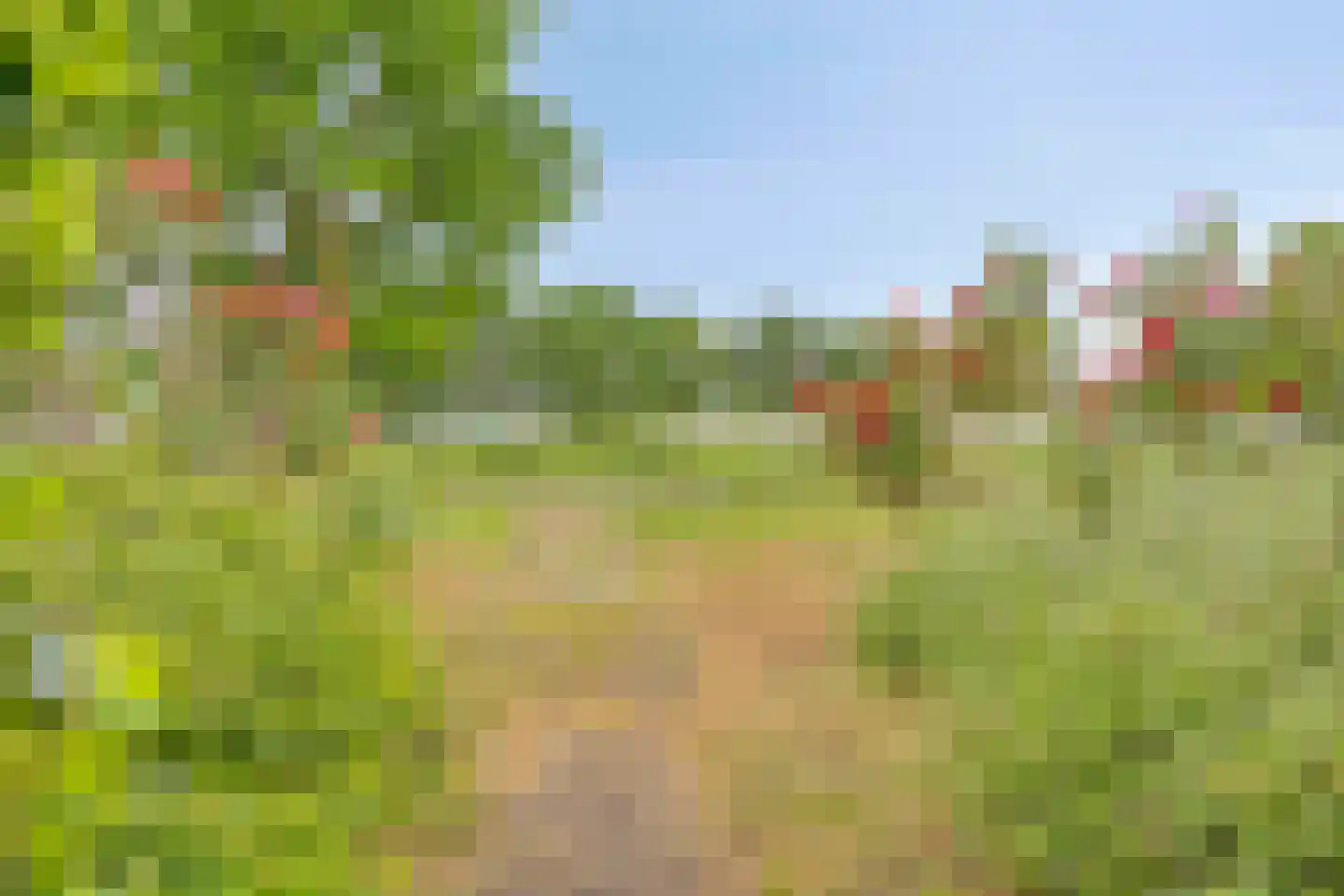 Impalalaan 18 Helmond thumbnail 32