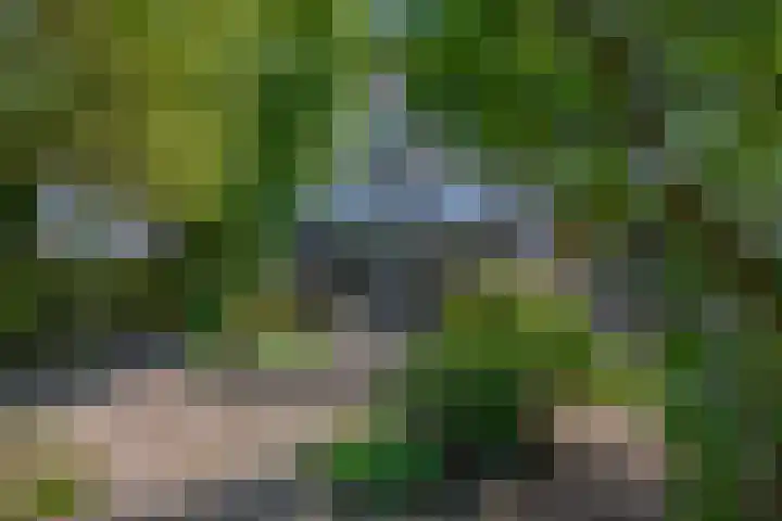 Impalalaan 20 Helmond thumbnail 34