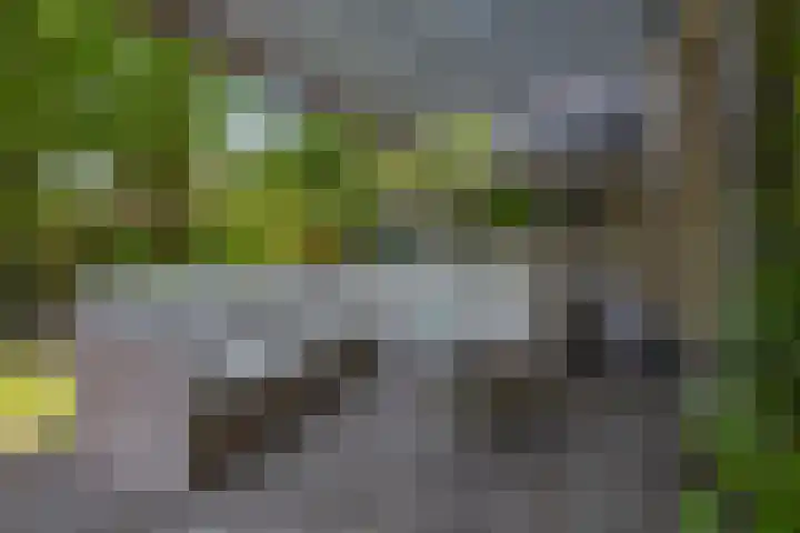 Impalalaan 20 Helmond thumbnail 35