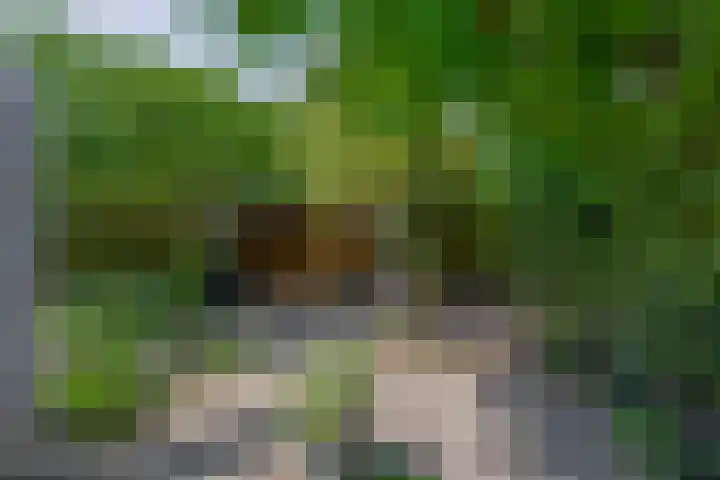 Impalalaan 20 Helmond thumbnail 37