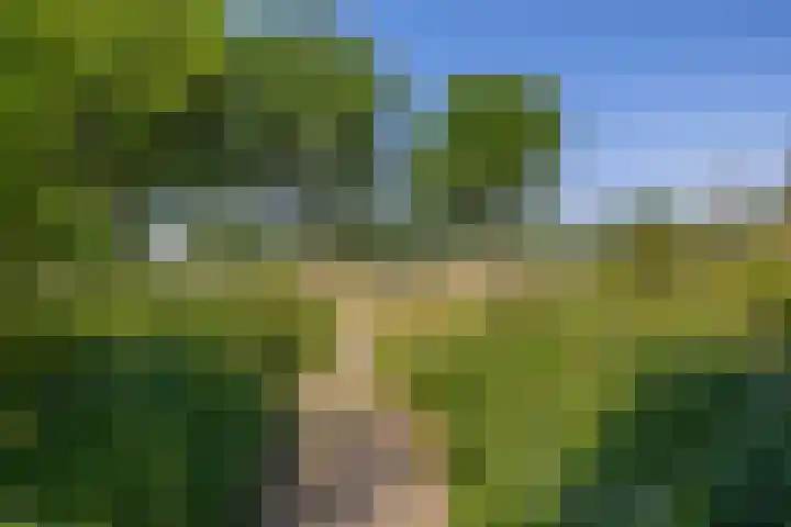Impalalaan 20 Helmond thumbnail 38