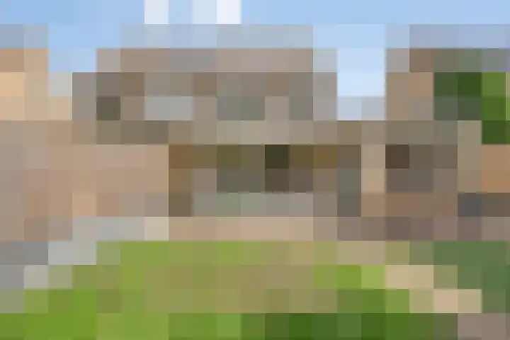 Impalalaan 44 Helmond thumbnail 6