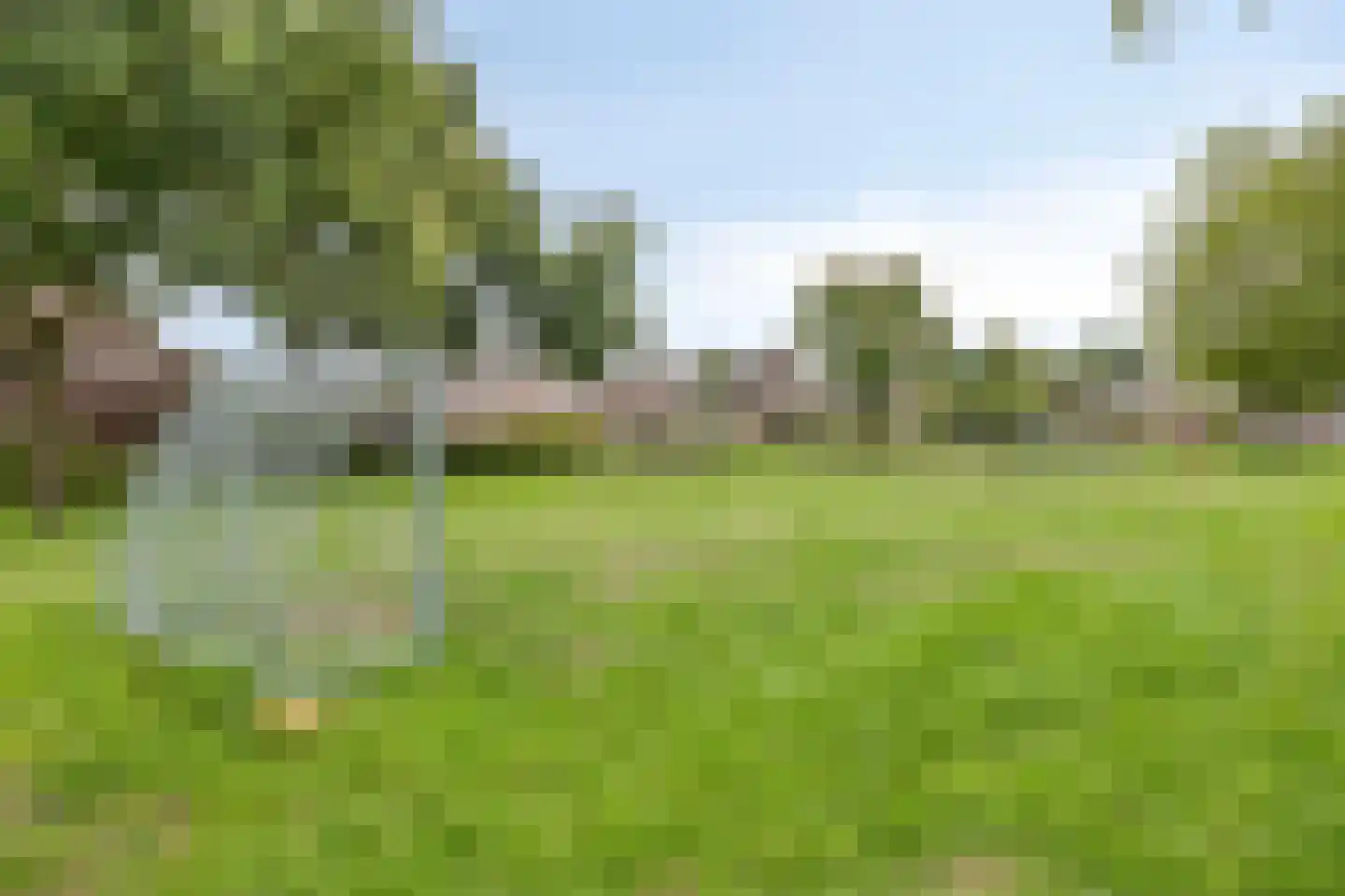 Impalalaan 56 Helmond thumbnail 46