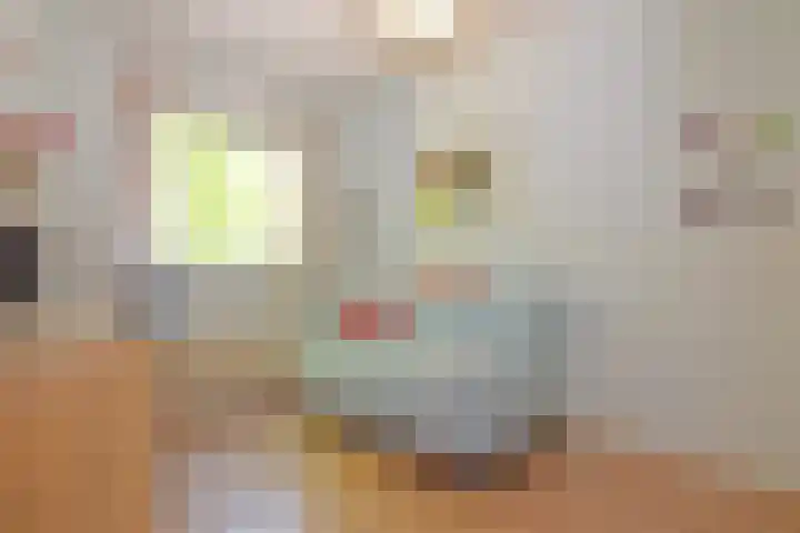 Impalastraat 29 Utrecht thumbnail 15