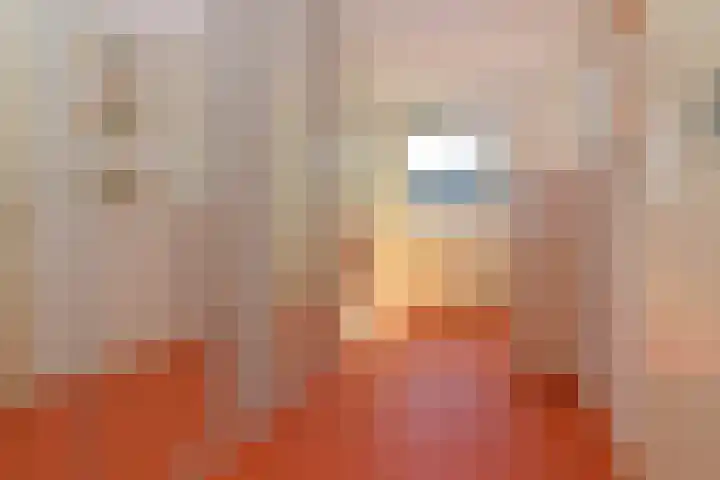 Impalastraat 29 Utrecht thumbnail 17