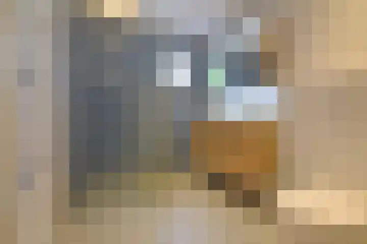 Impalastraat 29 Utrecht thumbnail 18