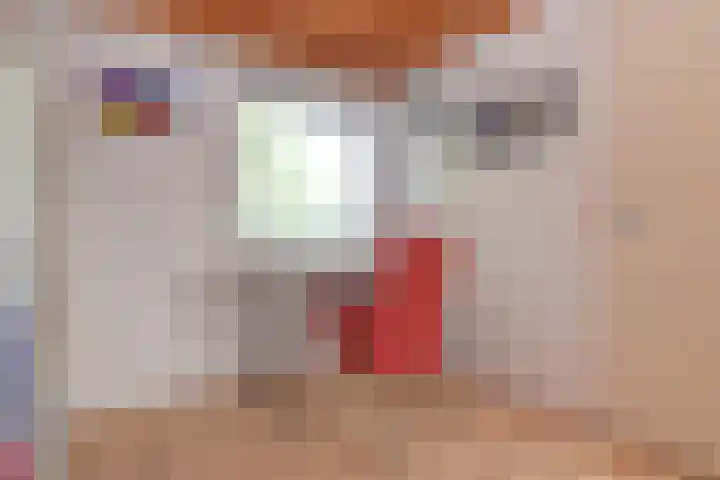 Impalastraat 29 Utrecht thumbnail 22