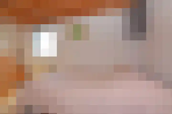 Impalastraat 29 Utrecht thumbnail 23