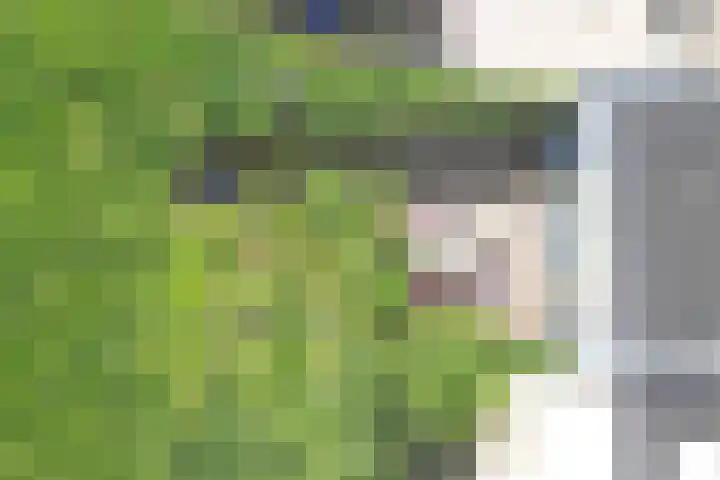 Impalastraat 29 Utrecht thumbnail 26