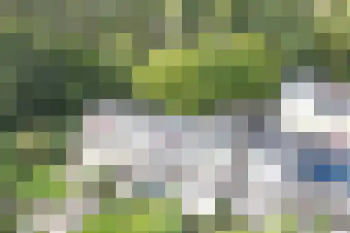 Impalastraat 29 Utrecht thumbnail 28