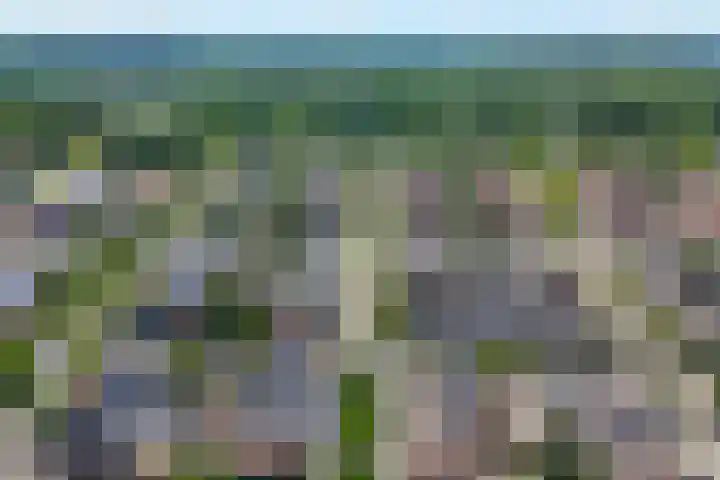 Impalastraat 50 Almere thumbnail 4