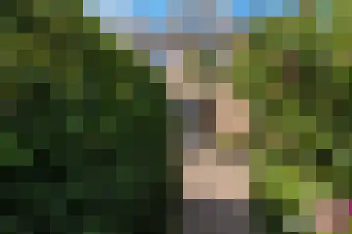 Impalastraat 50 Almere thumbnail 47