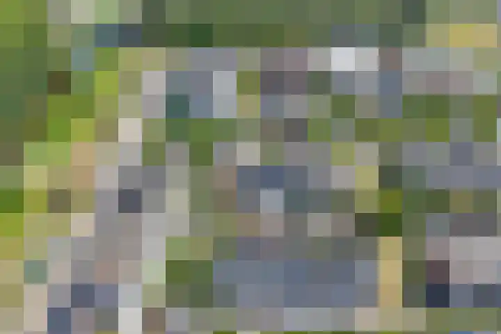 Impalastraat 50 Almere thumbnail 6