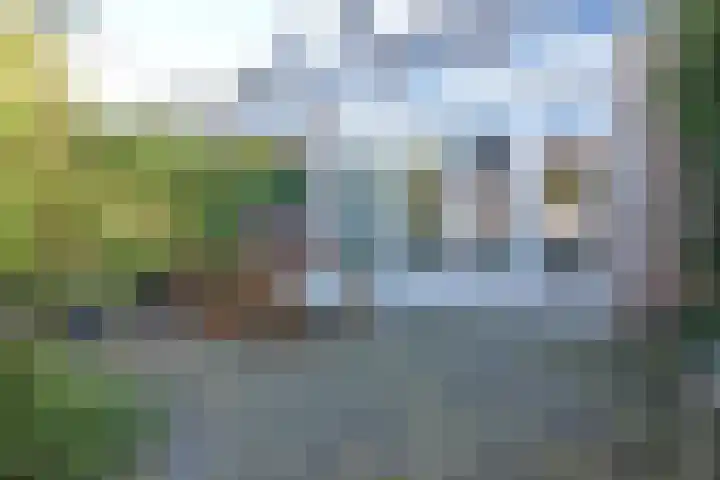 Impalastraat 63 Utrecht thumbnail 26