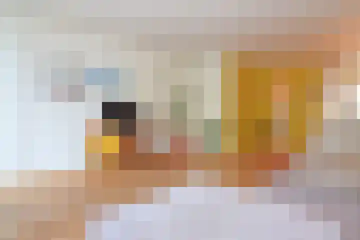 Impalastraat 63 Utrecht thumbnail 6
