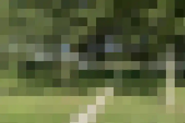 Impalastraat 8 Almere thumbnail 28