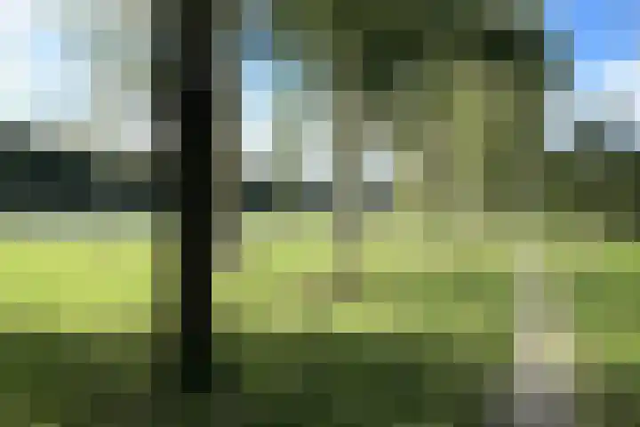 Impalastraat 8 Almere thumbnail 29