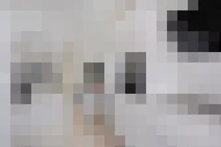 Impostmeester 13 Assendelft thumbnail 10